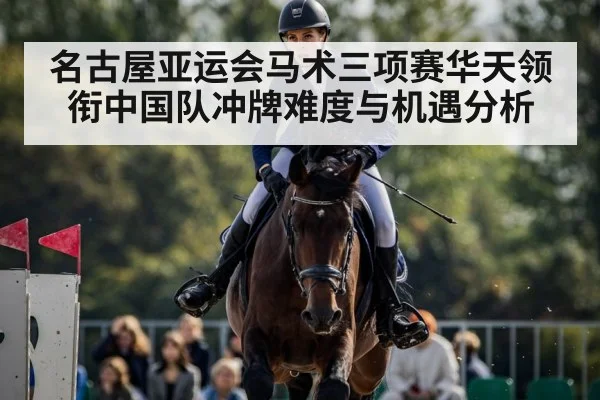 horse show jumping competition