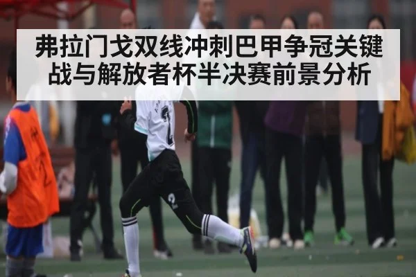 弗拉门戈双线冲刺巴甲争冠关键战与解放者杯半决赛前景分析 - kaiyun